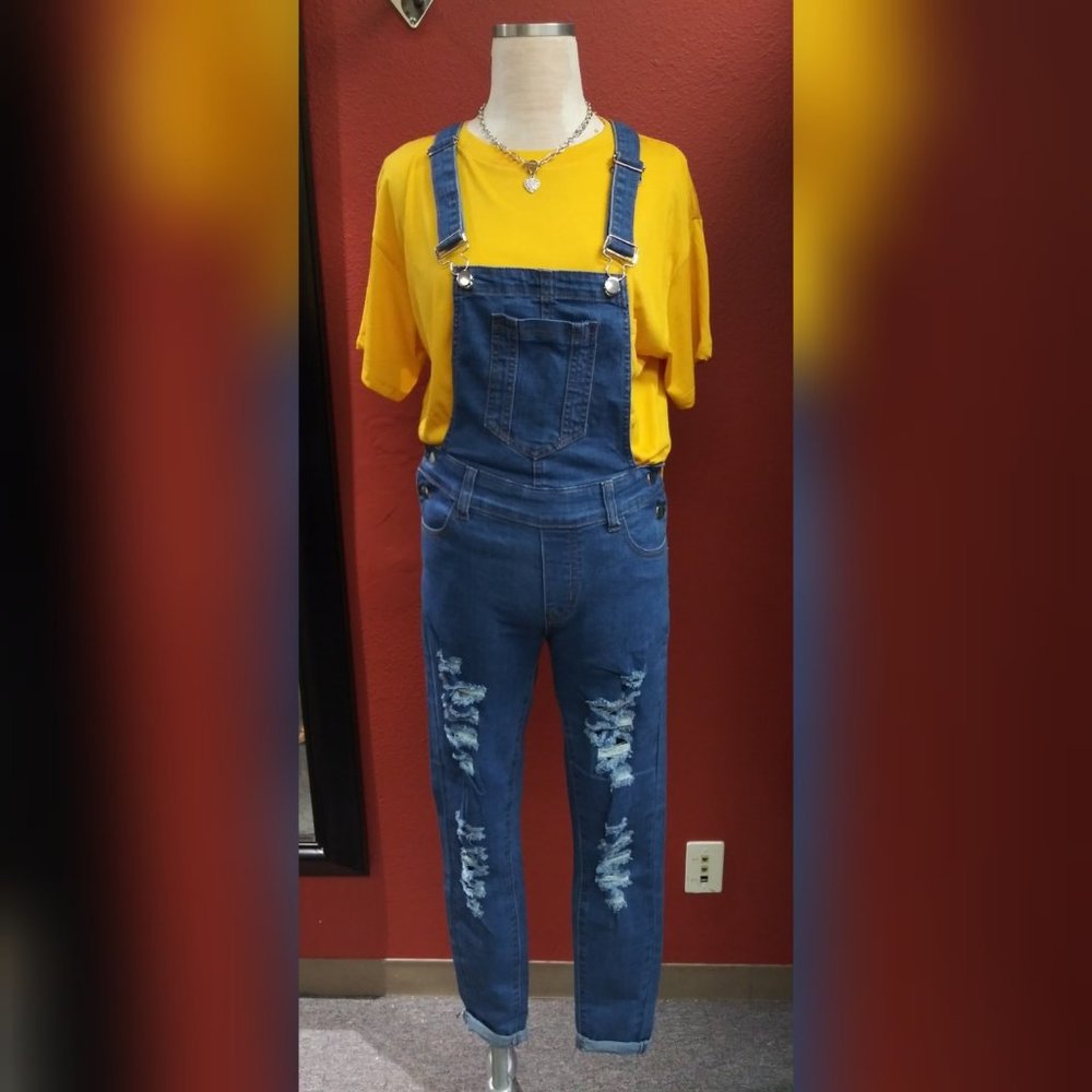 Denim Distressed Overall Jeans